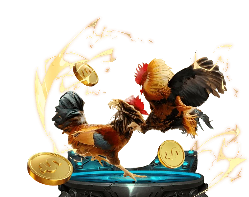 Chương trình VIP và phần thưởng độc quyền link vào bóng 88